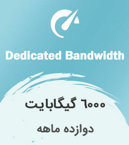 تصویر از اینترنت بیسیم اختصاصی دوازده ماهه با ترافیک 6000 گیگابایت بین الملل